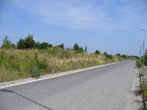 Obrázok - názov: Pohľad od ZSZ na VJV na teleso skládky odpadu za novou cestou.