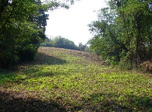 Obrázok - názov: Pohľad na zrekultivovanú plochu skládky od vstupnej brány.