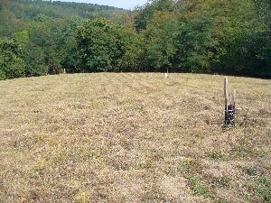 Obrázok - názov: Zrekultivovaná plocha skládky.