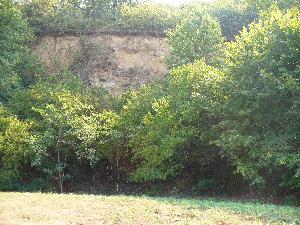 Obrázok - názov: Stena bývalého lomu v tesnej blízkosti zrekultivovanej skládky.